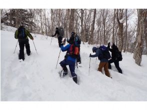 プランの魅力 With a professional guide lecture の画像