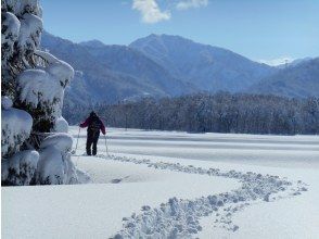 プランの魅力 讓我們繞著雪原跑 の画像