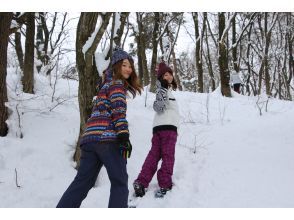 プランの魅力  の画像