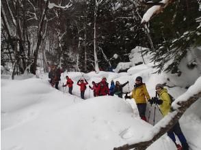 プランの魅力 スノーシューハイク の画像