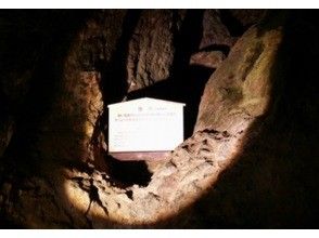プランの魅力 ⑥狸穴と呼ばれる手掘り坑道跡 の画像