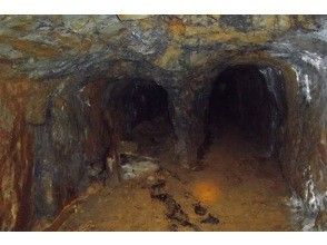 プランの魅力 ④貴重な平行坑道。400年前の技術の高さに驚嘆！ の画像