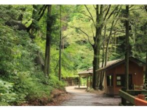 プランの魅力 Stroll along the road from the parking lot to the waterfall の画像