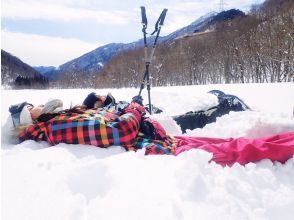 プランの魅力 一度はやってみたい雪へのダイブ！ の画像