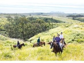 プランの魅力 Horseback riding experience in the grasslands の画像