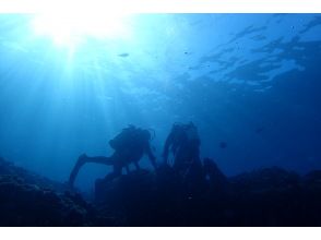 プランの魅力 潛水形象 の画像