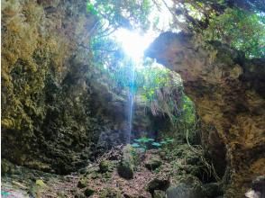 プランの魅力 折り返し地点は石灰岩からなる洞窟地帯。ガイドと歩いて冒険しましょう。 の画像