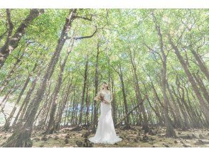 プランの魅力 幻想的なマングローブの森での撮影 の画像