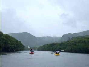 プランの魅力 雨でも美しい亜熱帯の森 の画像