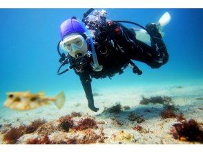 プランの魅力 海が真っ青 の画像