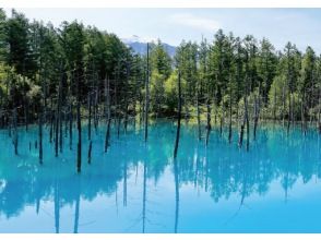 プランの魅力 幻想的なコバルトブルーが美しい美瑛・青い池を散策！ の画像