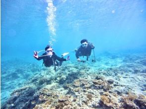 プランの魅力 最初は浅瀬から・・ の画像