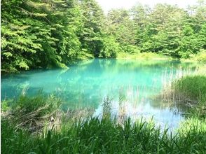 プランの魅力 接下来出现的青沼之美 の画像