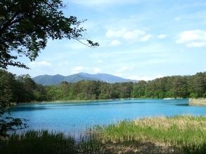 プランの魅力 在Aonuma旁边,您可以看到背景为Bandai山的Rurinuma。 の画像