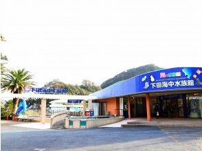 プランの魅力 体験場所は下田海中水族館！ の画像