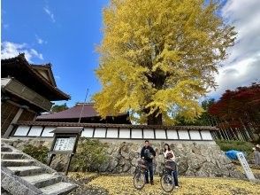 プランの魅力 Large ginkgo tree at Saikyoji Temple の画像