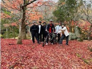 プランの魅力 紅葉の絨毯 の画像