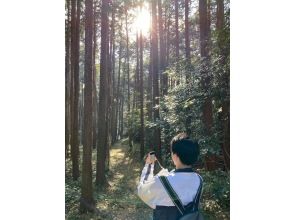 プランの魅力 I will walk along the mountain trail in the forest. の画像