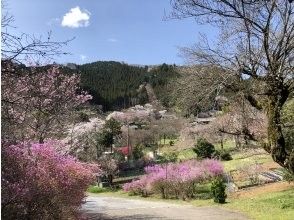 プランの魅力 四季折々の里山の風景が楽しめます の画像