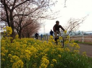 プランの魅力 春の訪れを感じにお出かけしよう！！ の画像