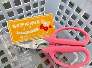 プランの魅力 受付:チケットとパックとハサミをお渡しします の画像