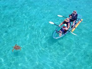 プランの魅力 Sea turtle encounter rate 99.9%♡ の画像