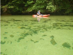 プランの魅力 静かな水面で の画像