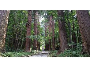 プランの魅力 The approach to the cedar avenue の画像