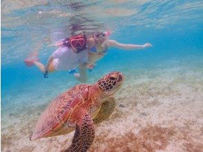 プランの魅力 Snorkeling with sea turtles! の画像