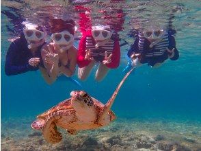 プランの魅力 You can even take pictures with sea turtles! の画像