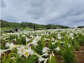 プランの魅力 リリーフィールド公園 の画像