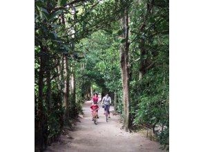 プランの魅力 Bise Fukugi Tree Line: About 40 minutes の画像