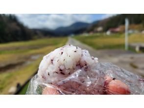 プランの魅力 大朝米を食べよう！ の画像