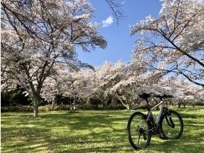 プランの魅力 Go to cherry blossom spots in spring の画像
