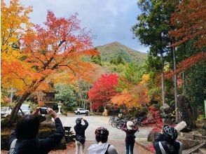 プランの魅力 秋は紅葉スポットへ の画像