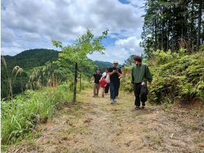 プランの魅力 里山体験＊小トレッキング (通年:民泊翌日) の画像