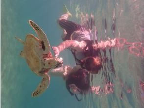 プランの魅力 With sea turtles up close の画像