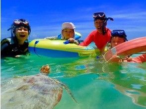 プランの魅力 If you can meet a turtle の画像