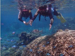 プランの魅力 まるで水族館 の画像