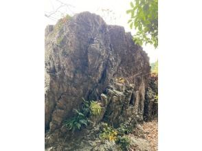プランの魅力 男鹿岩 の画像