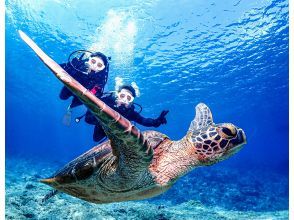 プランの魅力 沖縄が世界に誇る、慶良間諸島で開催 の画像