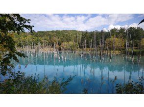プランの魅力 青い池 の画像