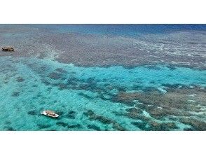 プランの魅力 被珊瑚礁包围的世界 の画像