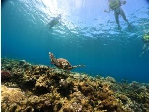 プランの魅力 クリアサップ の下から見える、豊富な珊瑚礁や熱帯魚に感動すること間違いなし。 の画像