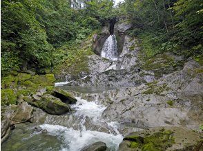 プランの魅力 ガロー状の滝 の画像