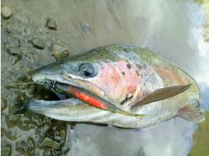 プランの魅力 釣れる魚はニジマス・アメマス・ウグイなど。 の画像