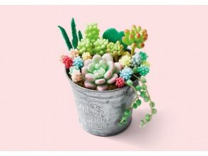プランの魅力 fake succulents in buckets の画像