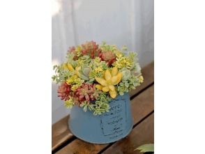 プランの魅力 fake succulents in buckets の画像