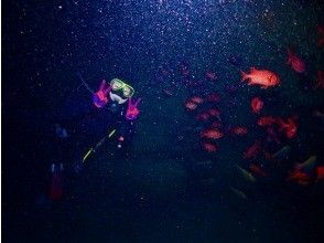 プランの魅力 海の生き物ともハイチーズ♪ の画像