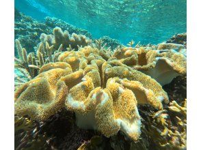 プランの魅力 산호 の画像
